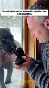 Jagur Cub Rescue #animalrescue #lovestory #jaguar