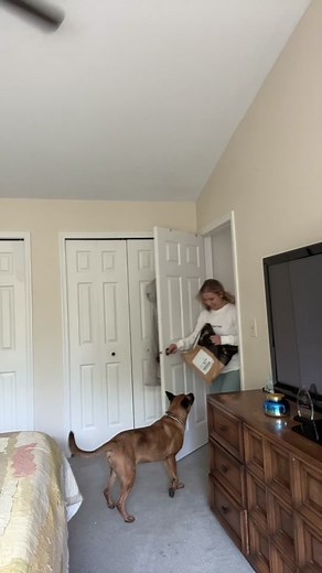 Yall know I rarely, rarely buy my clothing brand new but SHEESH overalls are hard to find #atthethrift !! These @Duluth Trading Company overalls were worth every penny. This is all you’ll see me wearing for the rest of my life. It’s hard to find women’s clothing that is functional, comfortable & thoughtfully designed—even when it comes to overalls! But these check every box (EXCEPT they arent pink, so I may buy a pink pair when they restock in my size). Anyway, 10000% recommend. #gardeningessent