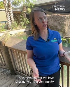 10K views · 165 reactions | ZooTampa is working to create a new rescue and rehab facility for their manatees! The new facility, renamed "Florida Waters,' will host life from fresh to salty to brackish waters. It is set to open in the spring of 2026. Learn more: https://baynews9.com/fl/tampa/news/2025/11/13/florida-on-a-tankful-visits-zootampa-s-manatee-rescue-and-rehabilitation-facilities-as-they-undergo-a-major-overhaul-on-their-way-to-a-spring-opening | Spectrum Bay News 9 | Facebook