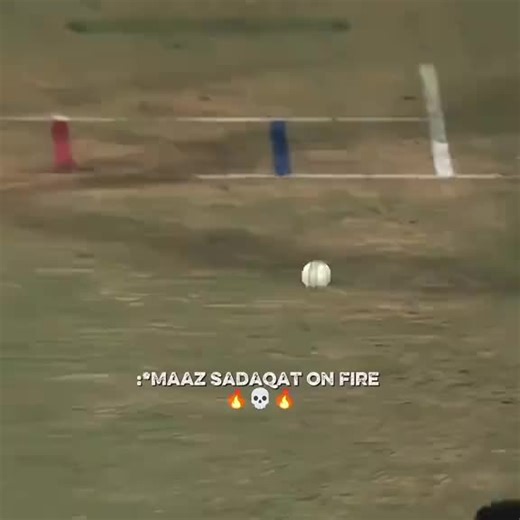 Exciting Cricket Highlights and Moments