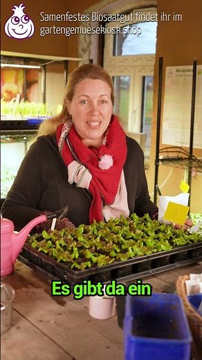 Wie man lästige Fliegen in Blumenerde los wird