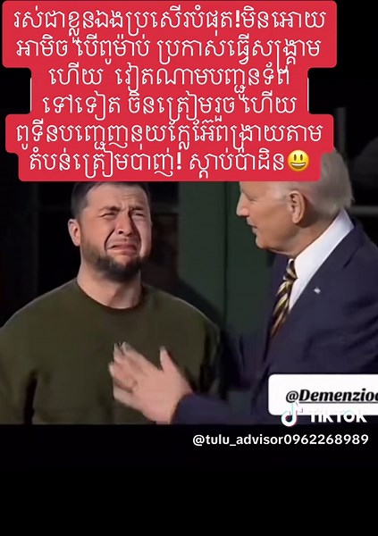 Understanding Cow Behavior in Social Settings