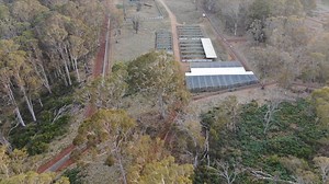 15K views · 287 reactions | Aussie Ark is thrilled to announce that...