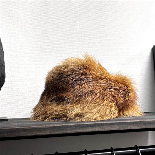 Fur Winter Hat, Fuzzy Brown Cossack Trapper Hat, Size XS - Etsy