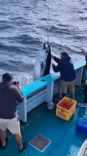 Ultimate Fishing Tips for Beginners