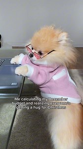 58 reactions · 17 shares | Sorry guys, inflation 﫣 @plumethepom | SALTYDOG | Facebook