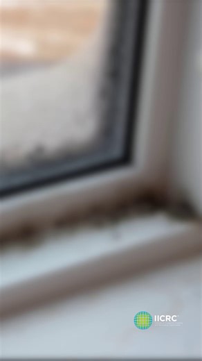 🦠 Is mold hiding in you home? Mold can thrive in dark , damp, and humid spaces and it can often go unnoticed until it becomes a big problem. Common spots to check include: 🔹Bathrooms & under sinks 🔹Basements & crawl spaces 🔹Around windows & vents 🔹Behind walls or ceilings after leaks If you suspect mold, DO NOT WAIT! Contact an IICRC Certified Professional to inspect and safely remediate your home. Visit here to find a Professional near you: iicrc.org/iicrcgloballocator/. A huge thank you t