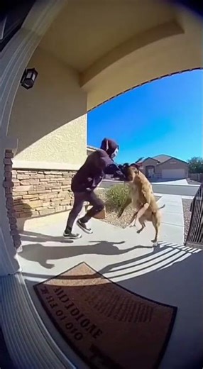 Caught Stealing the Bait Box! Funniest Porch Pirate Prank Ever