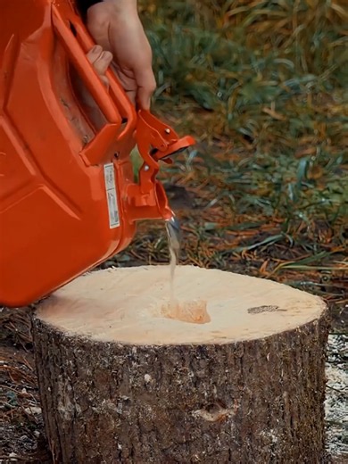 How to Remove a Tree Stump from Your Backyard Quickly