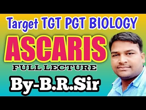 Ascaris lumbricoides (full lecture) || TGT Biology lecture || Life cycle of ascaris lumbricoides