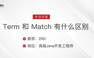 面试阿里，被问：ES 中 Term 和 Match 搜索有什么区别？答完直接给了25k_哔哩哔哩_bilibili