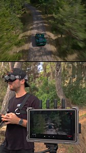 53K views · 658 reactions | Live from the heart of the forest. ...