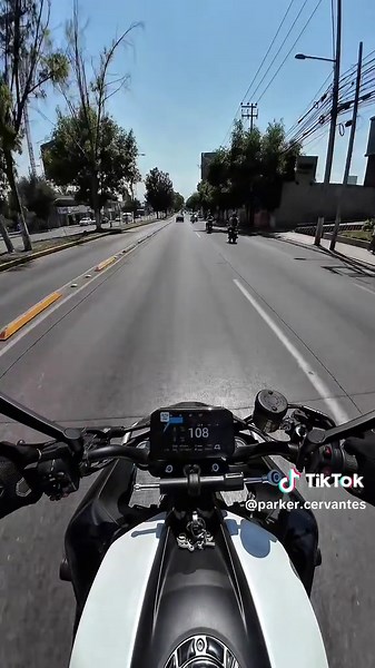 Gatito fallecido en el cielo