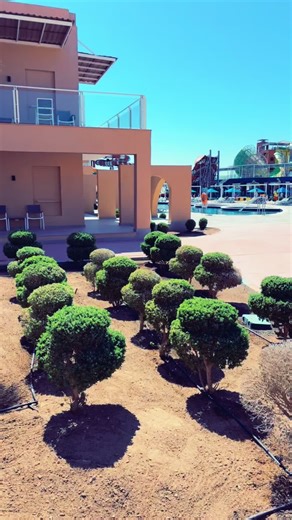 Amy Davidson on TikTok