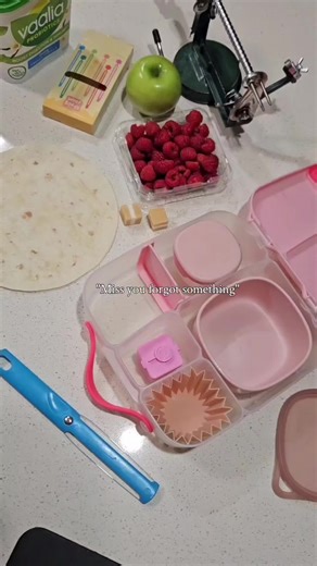 Easy Wrapper-Free All-in-One Lunchbox Ideas