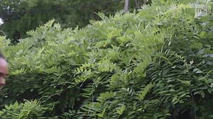 Chef Ariel Fox cooks healthy latin-inspired dishes for her family and friends