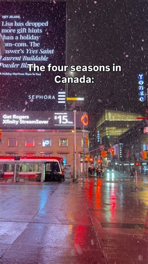 This is VERY accurate! 🤣❄️ #toronto #canada #snow #weather #the6ix | Epic Toronto