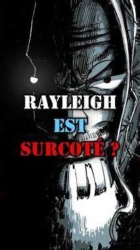 The Rayleigh case… 😭 #onepiece #eiichirooda #rayleigh #manga