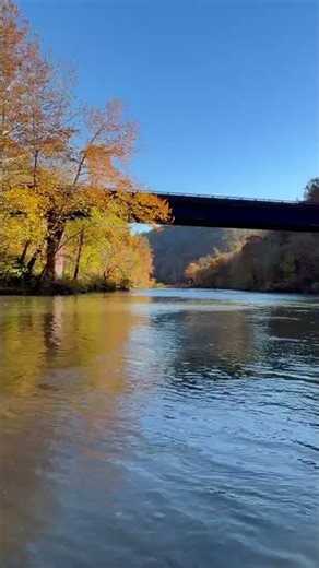 Gentle River flows during the Fall #4knature #waterfall
