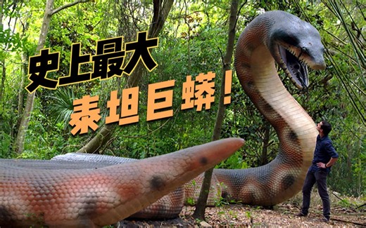 史上最大的蛇——泰坦巨蟒！1100公斤！