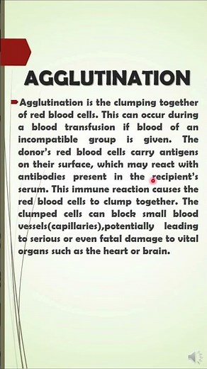 Agglutination Explained | What Happens During an Incompatible Blood Transfusion?