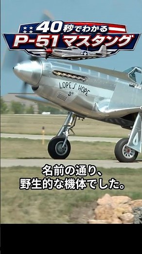 The Legendary Fighter that Dominated the Skies in the Late War | P-51 Mustang in 40 Seconds