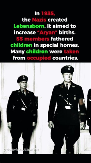 The Nazi Program to Create “Aryan” Children #history #ww2 #worldwar2