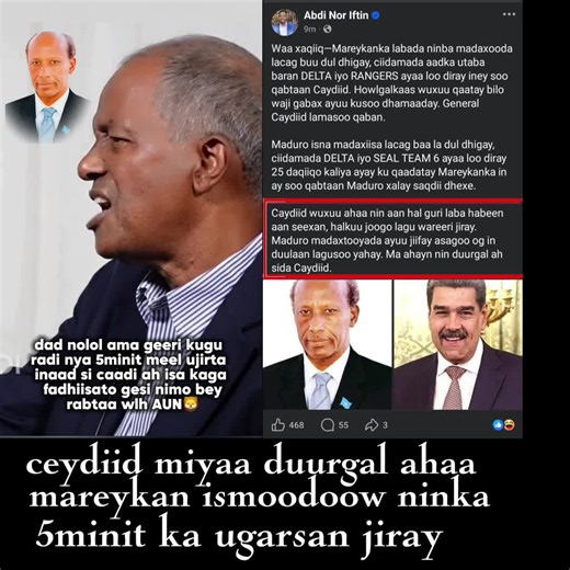 Caydiid vs America: A Cultural Comparison