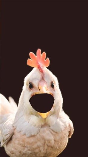 😂 Funniest chicken and banana ever! | Viral Short.