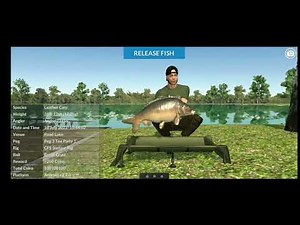 Carp fish simulator - How to catch fast big carp