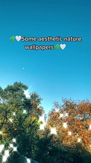 Aesthetic Nature Wallpapers for Your Devices