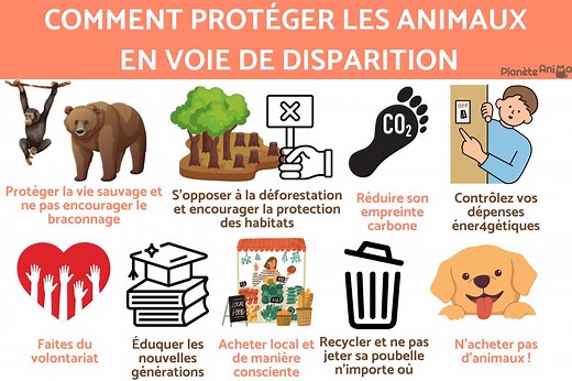 COMMENT PROTÉGER les ANIMAUX en VOIE de DISPARITION - TOUT SAVOIR