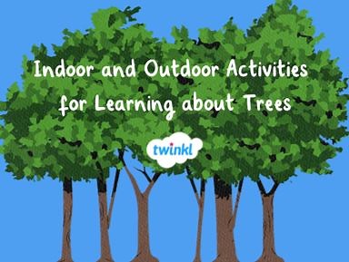 Twinkl Indoor & Outdoor Activities for Learning about Trees