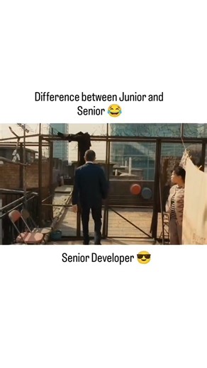 junior dev vs senior dev