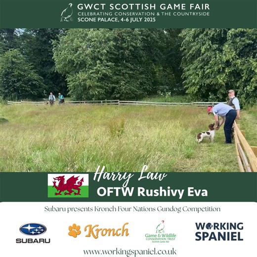 Skillful Pigeon Flush by Team Wales