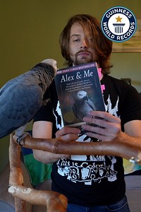 Apollo earns pistachios by answering questions