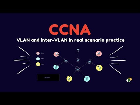 Free CCNA Course 2025-2026 VLAN and Inter-VLAN or Router on stick in a real scenario
