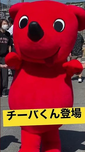 チーバくん登場 千葉県のマスコットキャラクター着ぐるみ costume Mascot character #shorts