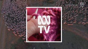 ABC TV (Australia) ID