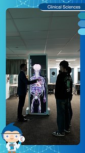 Introducing the Clinical Sciences Major from the Bachelor of Biomedical Sciences (BBiomedSc) programme! This major aim to prepare and cultivate the next generation of healthcare professionals for careers and further study in the fields of clinical research, clinical medicine, clinical laboratory and other healthcare-related professions. The objectives of this Major are to provide students with a strong foundation in clinical sciences, equip them with essential skills for variety of clinical rese