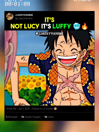 It's Not Lucy, It's Luffy: Understanding the Character