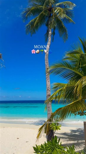 Sandra Maria | Zanzibar Travel on Instagram: "found MOANA in real life..🌸🥥🌴🐋 where every wave feels like it’s singing a lullaby straight out of a Disney movie. 💫 🏷️Share it if this is your MOANA vibe! Everywhere you look, it’s pure magic.. 🌸 Flowers bursting with color in the breeze 🥥 Fresh coconuts cracked open by the shore 🌴 Palms swaying over lagoons of glass 🪸 Coral reefs glowing beneath the surface I think I was meant to be an island girl. Give me the ocean, flowers in my hair, an