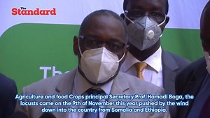 Kenya dealing with the 2nd invasion of the desert locust in the lower Coastal Area | Standard Digital | Facebook