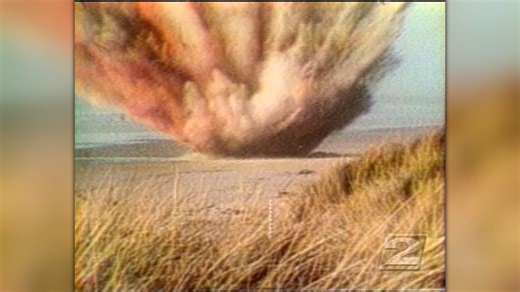 'Should a whale ever wash ashore again' | 55 years since Oregon exploding whale incident