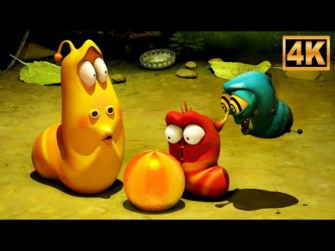 Fly - Larva, Animated Cartoon Video for Kids