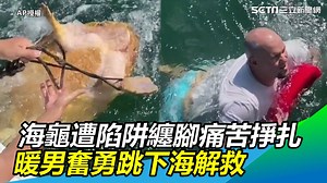 1.8K views · 30 reactions |...