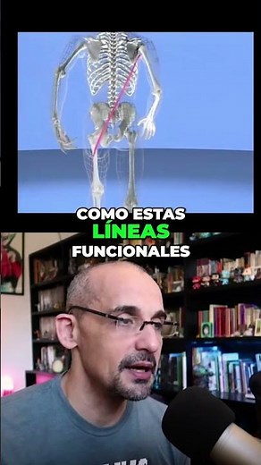 Anatomía del Cerebro Vías y Continuidad Visual Completa