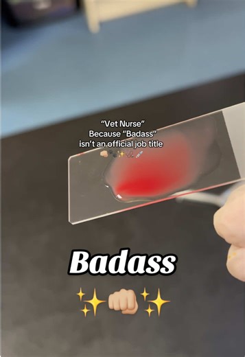 Celebrating the Badass Vet Nurses