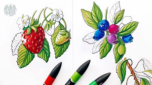 Drawing with Markers: Learn How to Sketch Expressive Fruits & Berries | Julia Henze | Skillshare