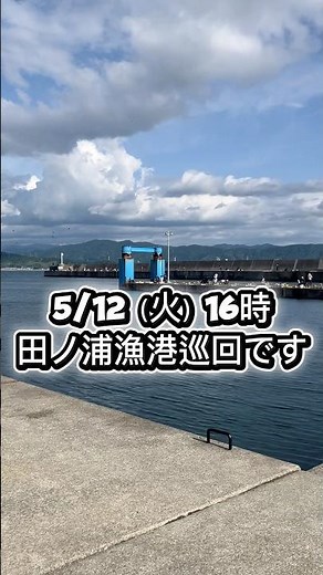 16時頃の田ノ浦漁港 fishingmax 和歌山インター店